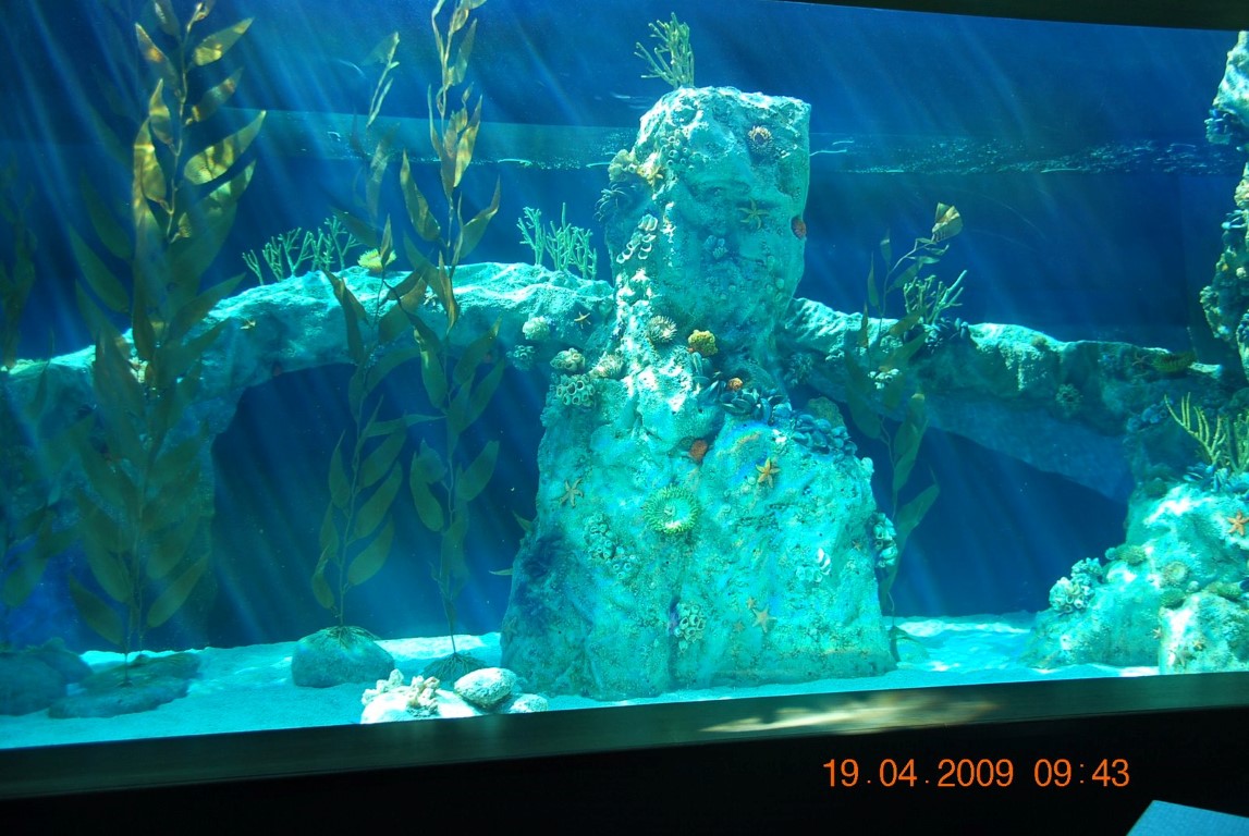 imagini hotel MARDAN PALACE